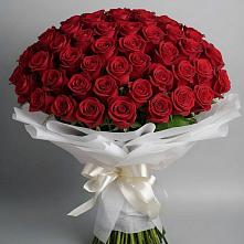 Букет 101 Красная роза Блэк Мэджик #REPLACE_PRED# Бакчаре