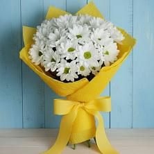 Букет цветов из:  Хризантемы в Бакчаре