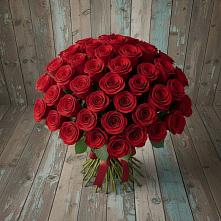Букет 55 Красных роз Фридом #REPLACE_PRED# Бакчаре