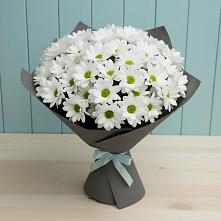 Букет цветов из:  Хризантемы #REPLACE_PRED# Бакчаре