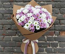 Букет цветов из:  Хризантемы в Бакчаре