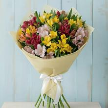 Букет цветов из:  Альстромерии #REPLACE_PRED# Бакчаре