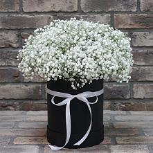 Цветочная композиция из Гипсофила в шляпной коробке в Бакчаре