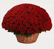 Премиум букет из: Розы в Бакчаре