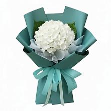 Букет цветов из:  Гортензия в Бакчаре